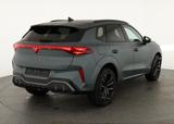 Cupra Terramar 2.0 TSI DSG 4Drive Americas CUP, AHK, H - Cupra Terramar in Frankfurt (Main)