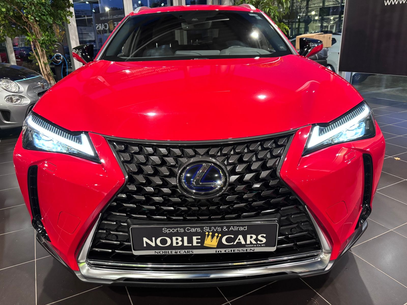 Fahrzeugabbildung Lexus UX 250 h Style RFK LED CarPlay