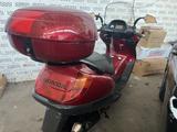 Honda Foresight 250 Totalumbau Navi Topcase  Karbon - Offers