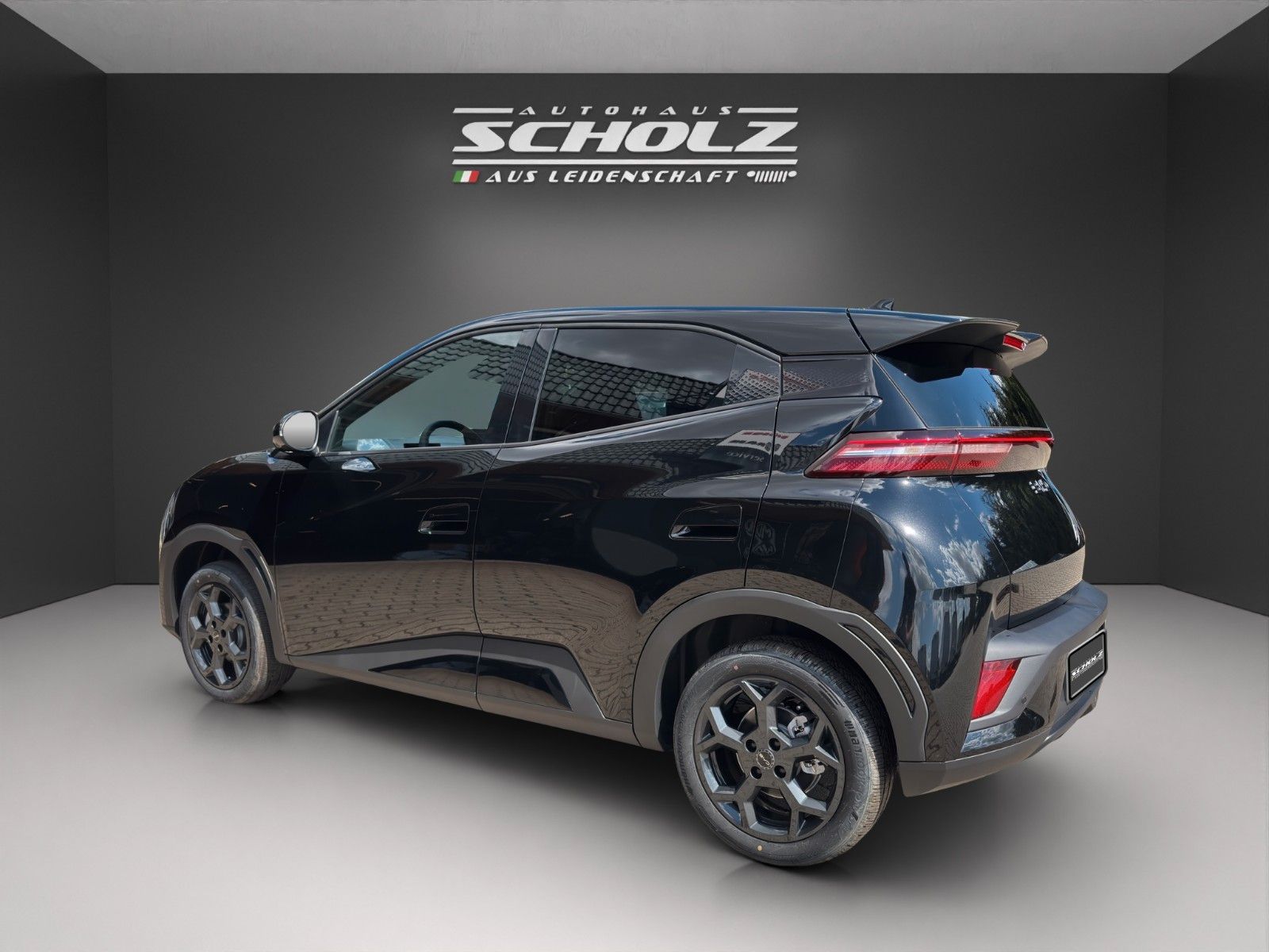 BYD DOLPHIN SURF