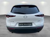 Mazda CX-30 2.0l "SELECTION" "DES-P" "PRE-P" M Hybrid - Mazda CX-30 mit Hybrid-Antrieb