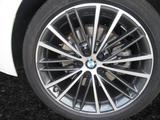 BMW 540i Limousine Luxury Line Head-Up DAB LED WLAN - BMW 5er Reihe mit Benzin-Antrieb: Limousine