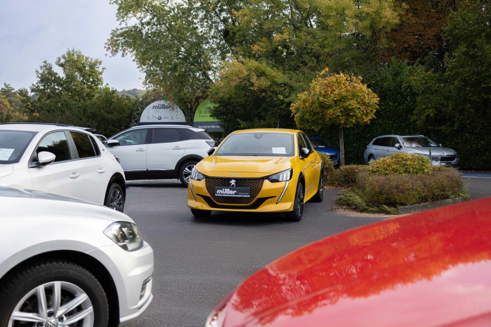 showroom-image-main