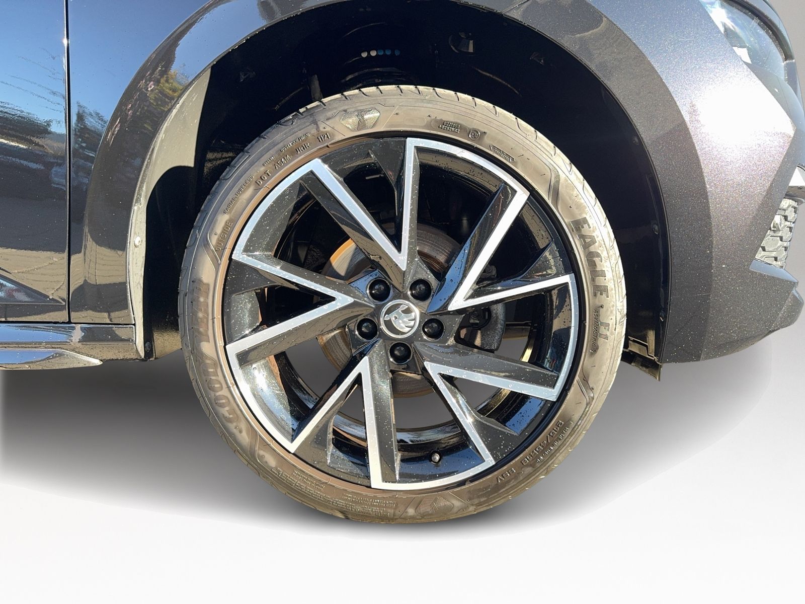 Kamiq 1.5 TSI Monte Carlo, Business Amundsen, vi