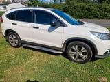 Honda CRV 4x4 Leder Diesel Ahzv Vollaussta... - Honda CR-V: Crv