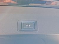 Cupra Terramar - Vorschau Bild 18