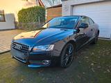 Audi A5 3.0 TDI (DPF) quattro - Vollleder  - gebrauchte Audi A5 aus dem Jahr 2007
