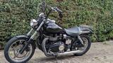 Triumph Speedmaster  - Offers