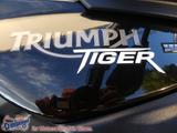 Triumph Tiger 800 + Koffer + Topcase + Remus - TRIUMPH VON 751 BIS 1000 CCM