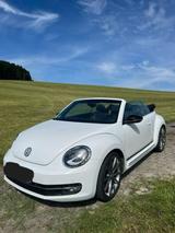 Volkswagen VW Beetle Cabriolet 1.4 TSI Club - Volkswagen Beetle CLUB mit Benzin-Antrieb