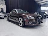 Audi A5 2.0 Cabrio 16V TFSI quattro Metallic DSG - Audi in Bremen: Q1