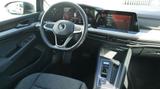 Volkswagen Golf Life 1.0 TSI 110PS DSG - VW Gebrauchtwagen von 2022