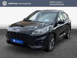 Ford Kuga 2.0 EcoBlue Aut. ST-LINE X - Ford Kuga mit Diesel-Antrieb: Automatik