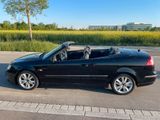 Saab SAAB 93 CABRIO VECTOR - Saab: 93
