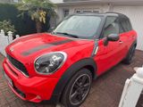 MINI Mini Cooper SD Countyman  Steht sehr Gut 2... - MINI Cooper SD aus 2012