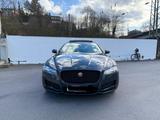 Jaguar XF 20d 180PS Prestige Automatik Prestige - Jaguar XF mit Diesel-Antrieb: 2.2
