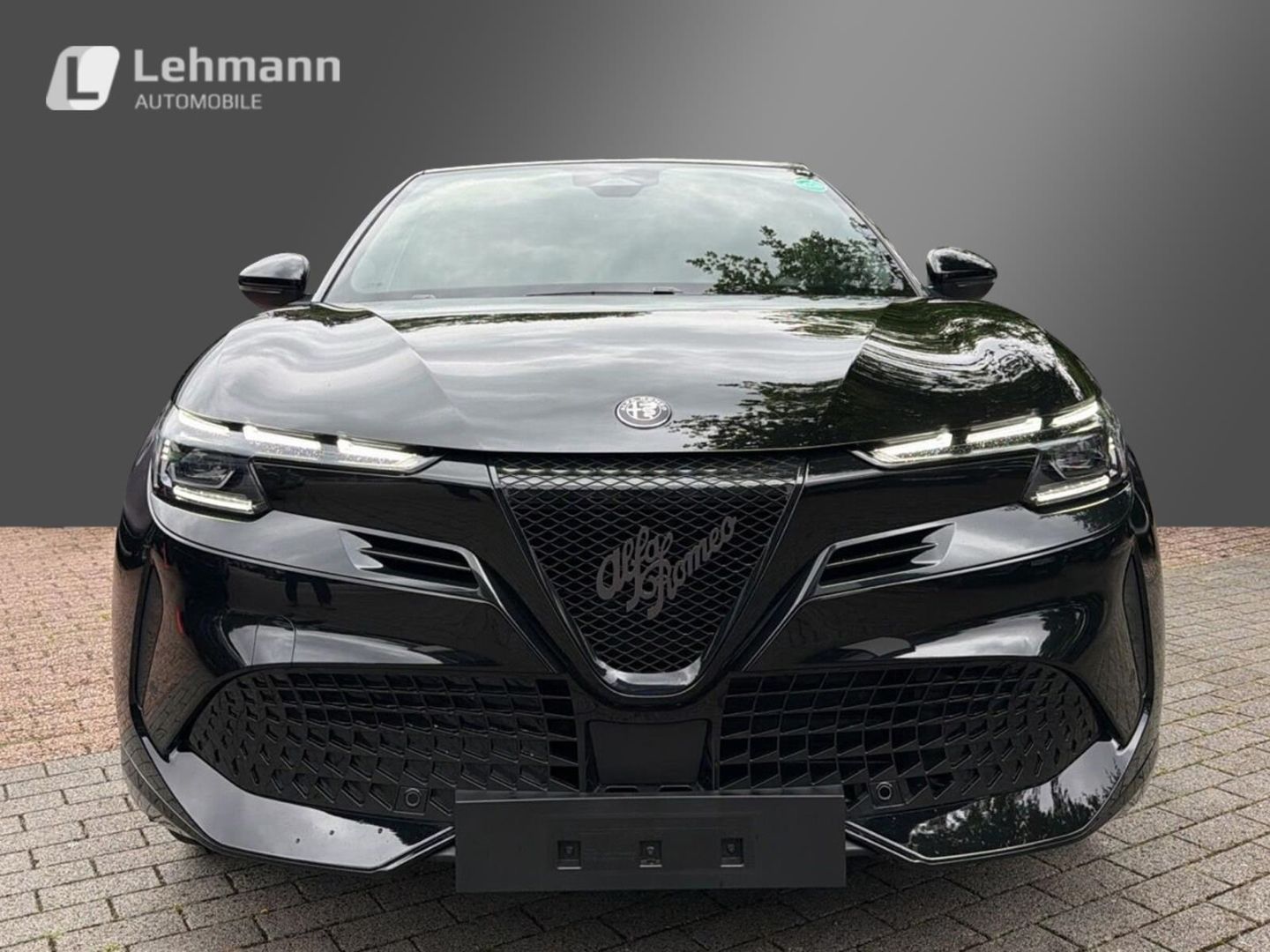 Fahrzeugabbildung Alfa Romeo Junior Elettrica Sport Speciale -Panorama-Wärmep