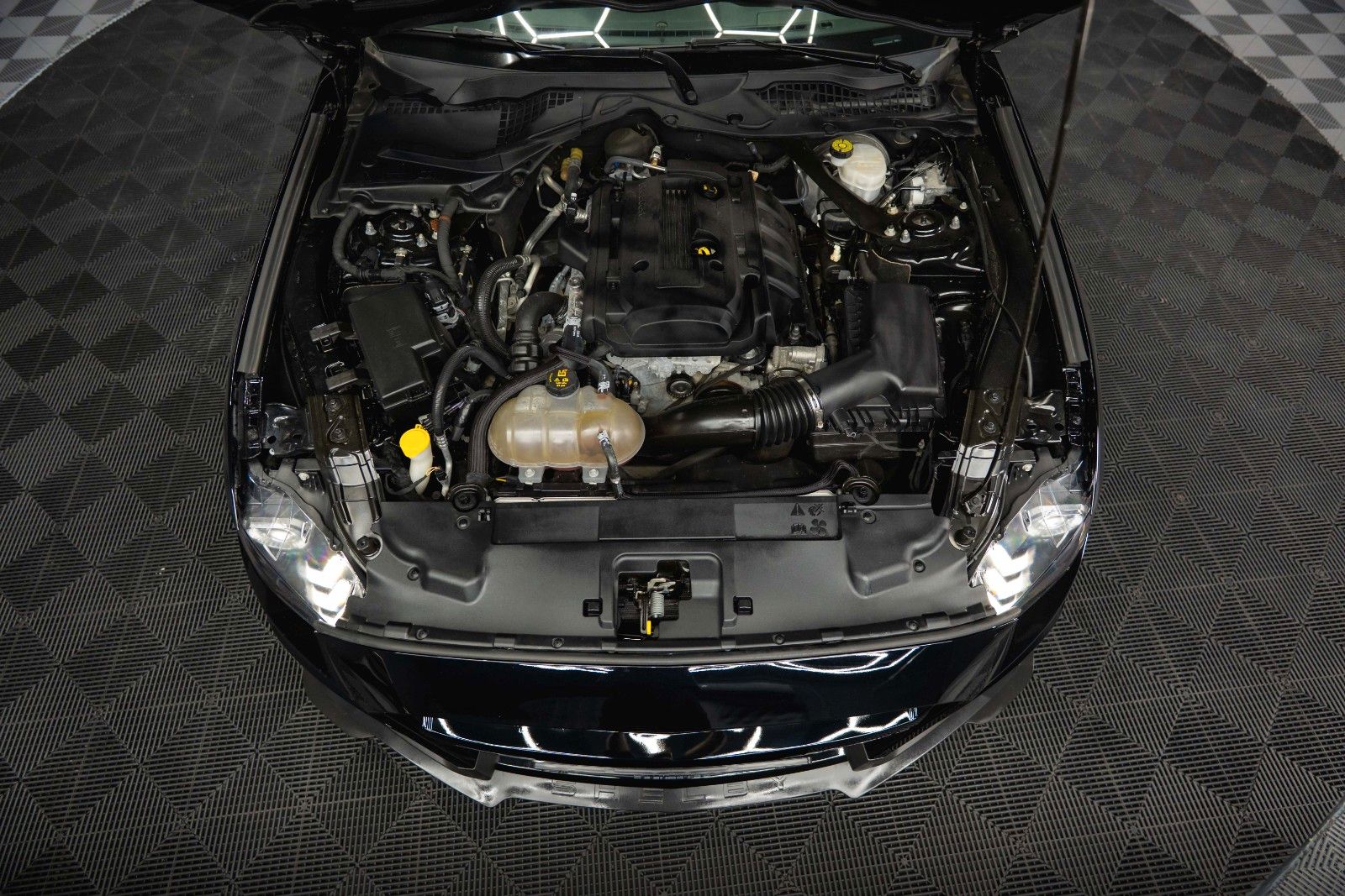 Fahrzeugabbildung Ford Mustang Shelby 500 GT Cabrio Performance PREMIUM
