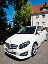 Mercedes-Benz 220 - Kleinbusse mit Unfallschaden