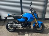 Honda MSX 125 GROM / AKTION "TAGESZULASSUNG" !! - Honda MSX125 Grom