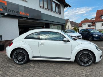 Volkswagen Beetle - 5