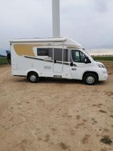 Carado T 135 - Offers