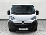 Opel Movano Cargo 30 2.2 BlueHDI120 L2H1 PDC hinten - Opel Movano Tageszulassungen