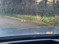 BMW 530 - Vorschau Bild 18