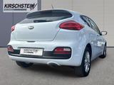 Kia ProCeed Edition 7 1.6 GDI WR 1.Hand Lenkradheizu - Kia pro cee'd / ProCeed aus 2014