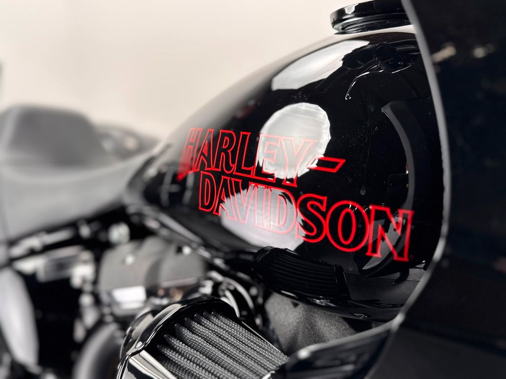 Fahrzeugabbildung Harley-Davidson LOW RIDER ST FXLRST