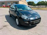 Fiat Punto 1,2 TÜV 11/27 / Young Edition - Fiat Punto in Herne