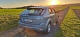 Ford Focus 1,4 Concept - Ford Focus Concept mit Benzin-Antrieb