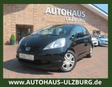 Honda Jazz 1.2 Trend/5-trg/Servo/Klimaaut/GJR/TÜV NEU! - Honda Jazz in Hamburg