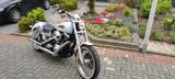 Harley-Davidson Dyna Low Rider FXDL  White Gold Pearl - HARLEY-DAVIDSON 2008