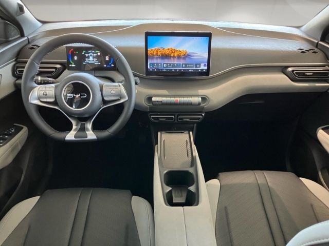 BYD DOLPHIN SURF