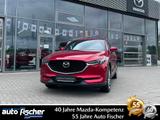 Mazda CX-5 2.2 (184PS) AWD Autom. Sports-Line-Plus Tec - Mazda CX-5 mit Diesel-Antrieb: Automatik