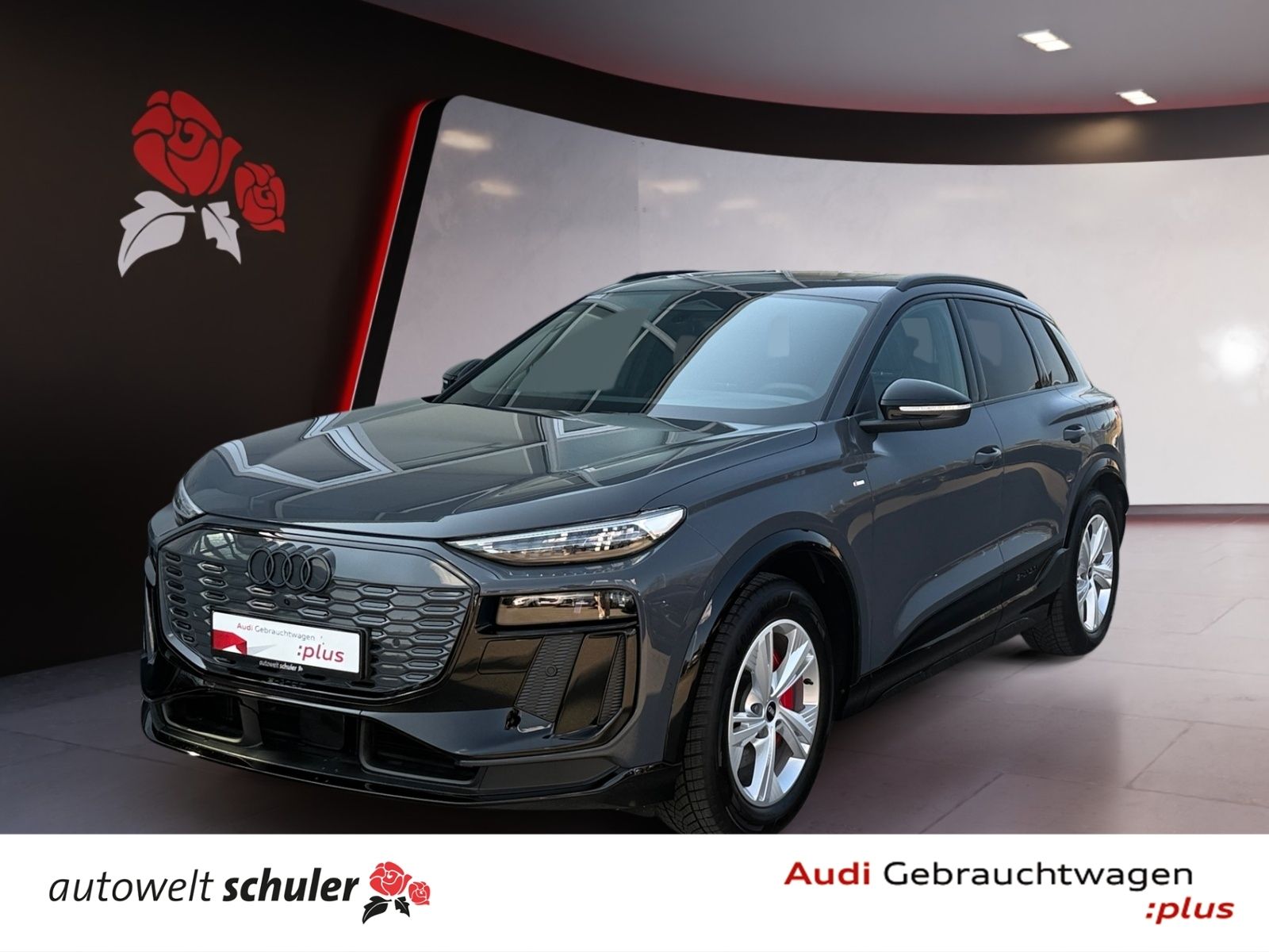 AUDI Q6 e-tron SUV quattro UPE 99.910€ S-line Pano HU