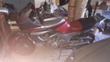 Yamaha TDM 850 3VD - YAMAHA TDM 850 3VD
