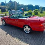 Mercedes-Benz CLK 320 ELEGANCE Elegance - rote Mercedes-Benz CLK-Klasse