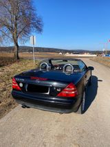 Mercedes-Benz 230 - Mercedes-Benz 230 mit Benzin-Antrieb