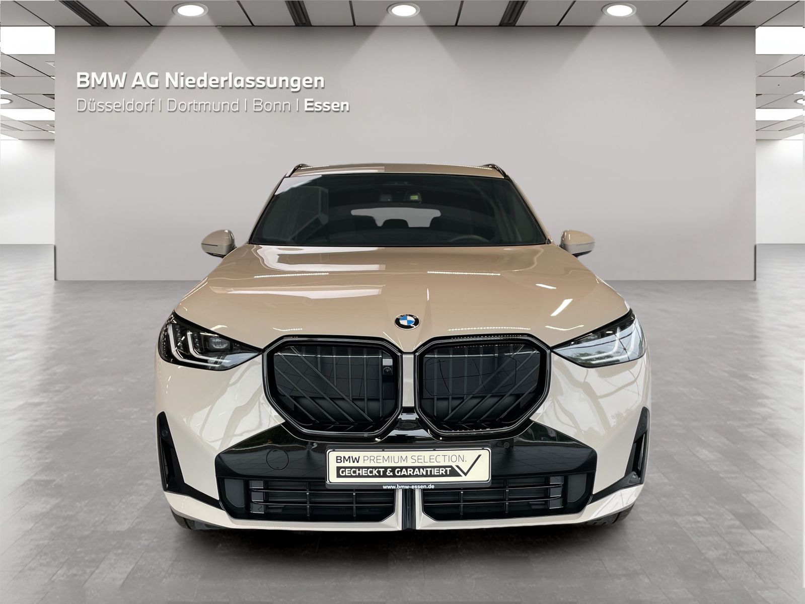 BMW X3 - Bild 8