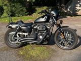 Harley-Davidson  Sportster Iron XL 883 | Matt - Offers
