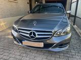 Mercedes-Benz E 220 BlueTEC 4MATIC AVANTGARDE Autom. AVANT... - Mercedes-Benz E 220 Gebrauchtwagen in Stuttgart