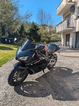 Honda CBR 1000 RR Fireblade - HONDA 2005 CBR 1000 RR