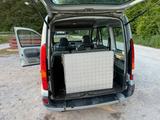 Renault Kangoo 1.6 Rollstuhlumbau - Renault Kangoo von privat