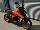 KTM 390 DUKE / MODELL 2025 / "DEMO SALE"