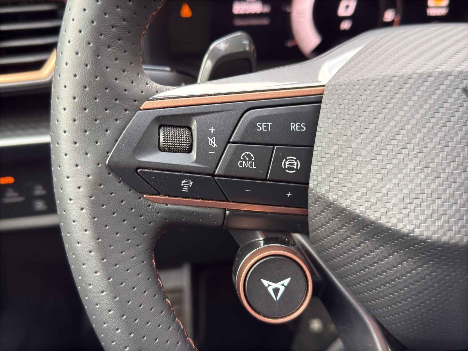 Cupra Formentor - Bild 18