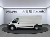 Fiat Ducato Kastenwagen L3H2 Multijet Hochdach verble - Fiat Ducato: 2.3