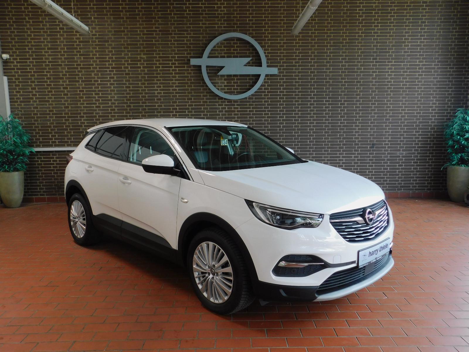 Opel Grandland (X) - LED/AGR/Kamera/Winter P.