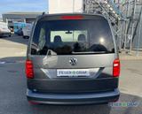 Volkswagen Caddy Beach 1.4 TSI DSG NAVI STANDHEIZUNG - Volkswagen Caddy mit Benzin-Antrieb: Kombi, 1.4